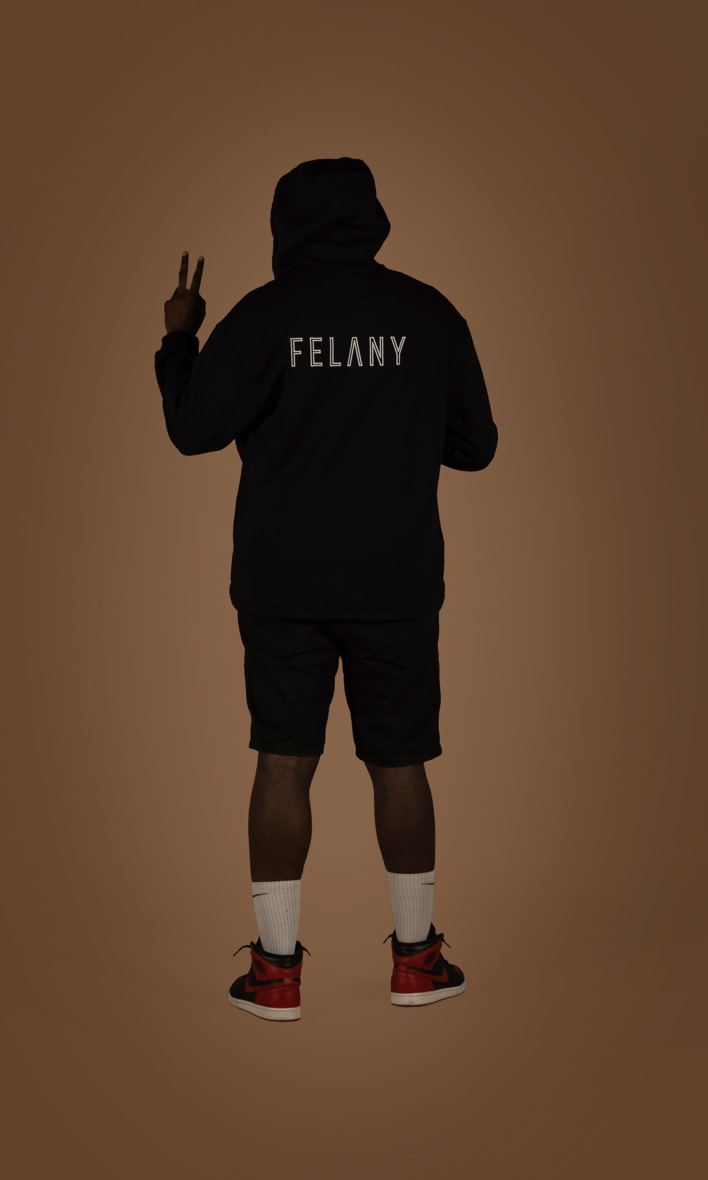Zip Pull Over Hoodie "FELANY SQUAD"